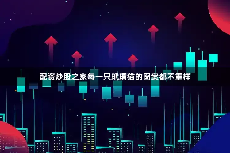配资炒股之家每一只玳瑁猫的图案都不重样