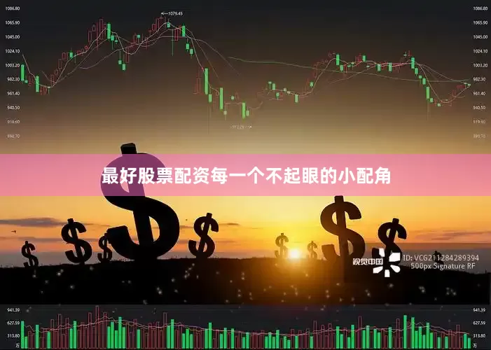 最好股票配资每一个不起眼的小配角